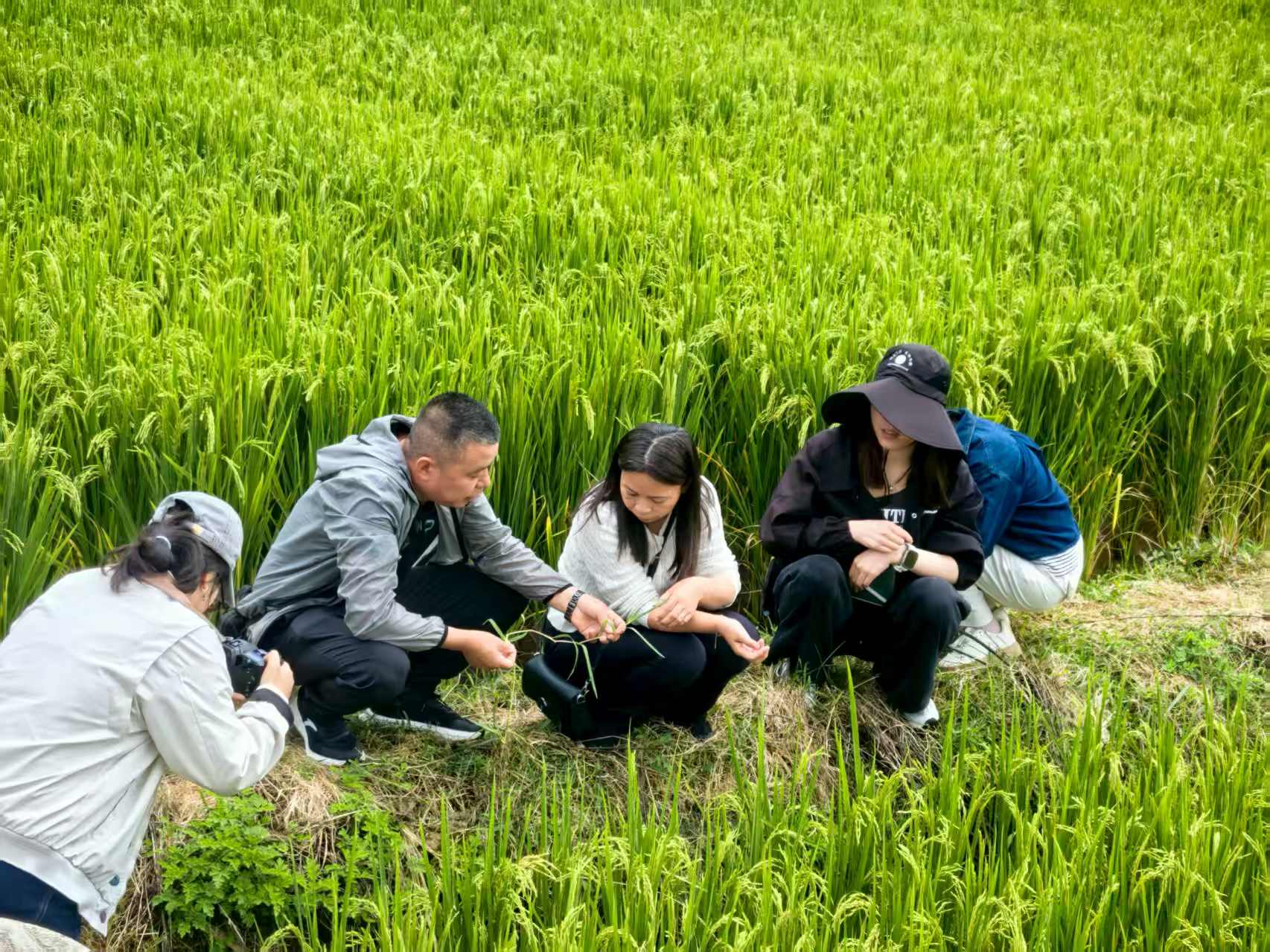 1784370608166238.jpg 气候友好稻米专项-云南思力地块考察合影 (2).jpg